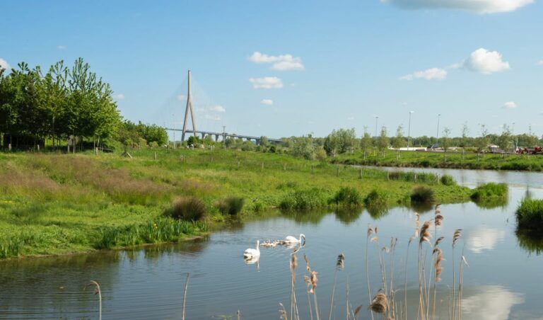 Vue pont de normandie